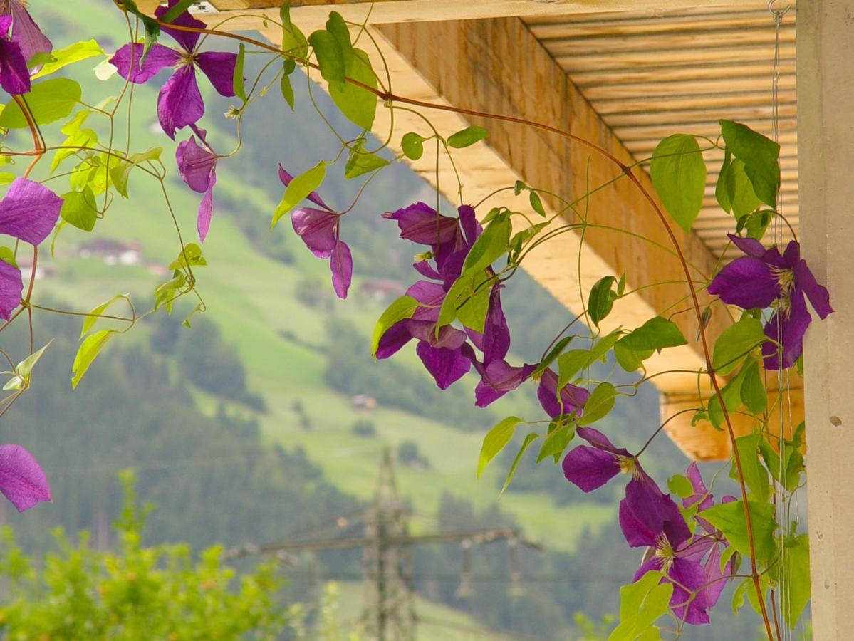Appartement Birgla Ramsau im Zillertal Luaran gambar
